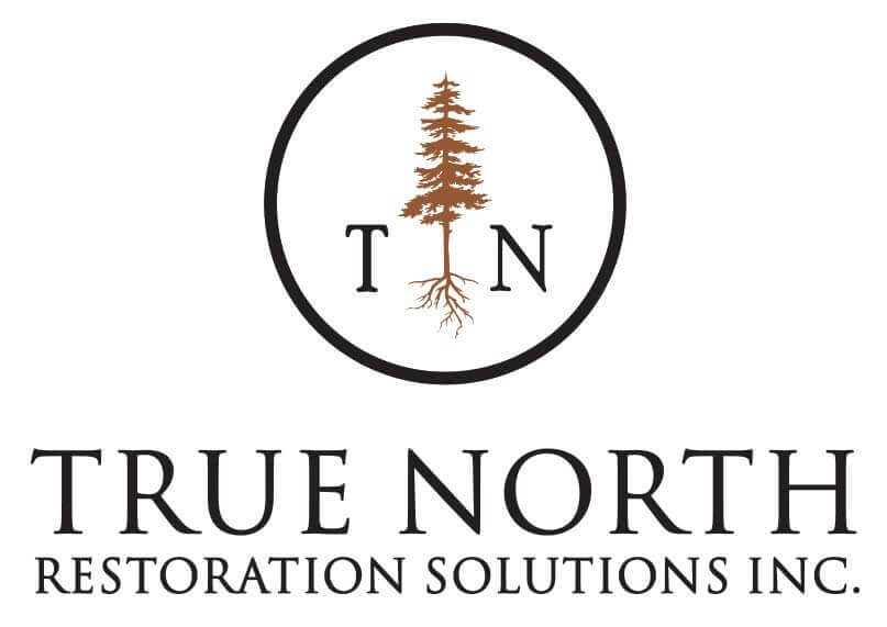 True North Restoration Solutions logo